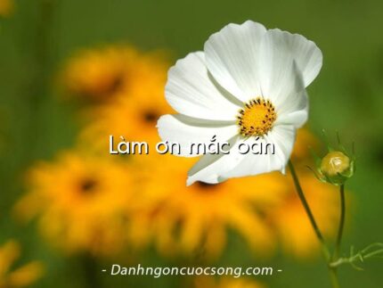 Làm ơn mắc oán