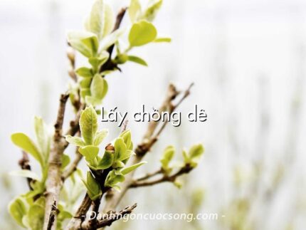 Lấy chồng dê