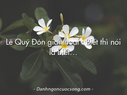 Lê Quý Đôn giai thoại : Biết thì nói là biết…