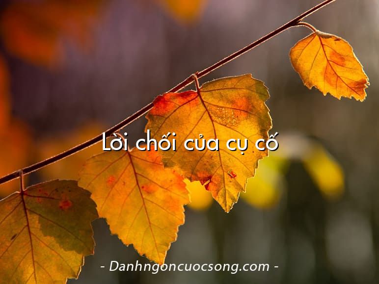 Lời chối của cụ cố