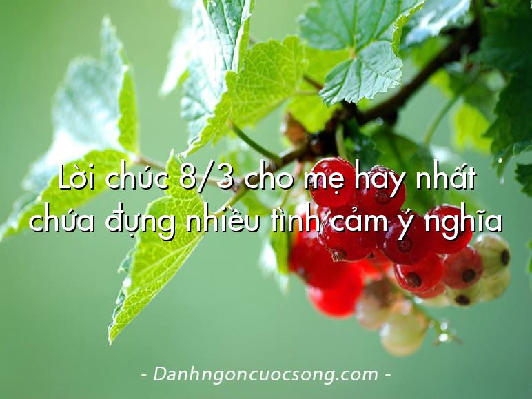 Lời chúc 8/3 cho mẹ hay nhất chứa đựng nhiều tình cảm ý nghĩa