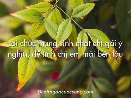 Lời chúc mừng sinh nhật chị gái ý nghĩa, để tình chị em mãi bền lâu