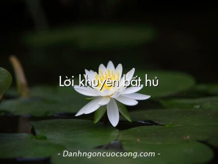 Lời khuyên bất hủ