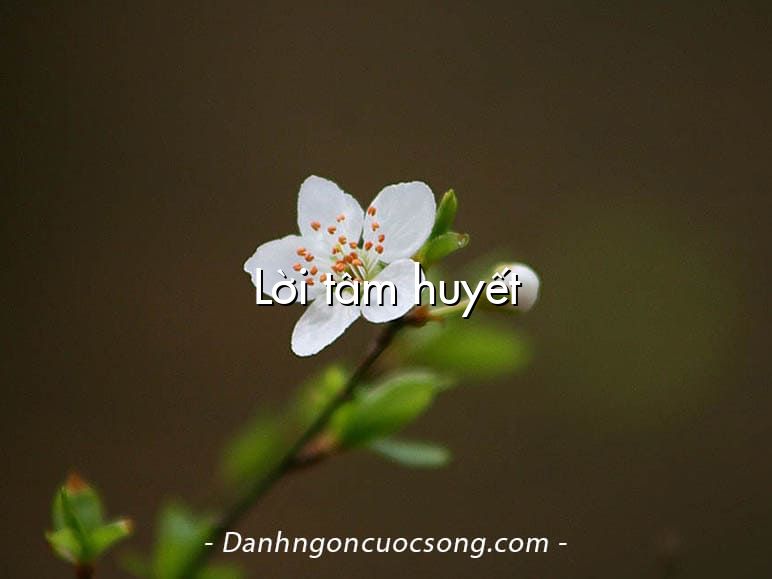 Lời tâm huyết