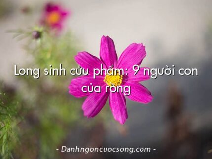 Long sinh cửu phẩm: 9 người con của rồng