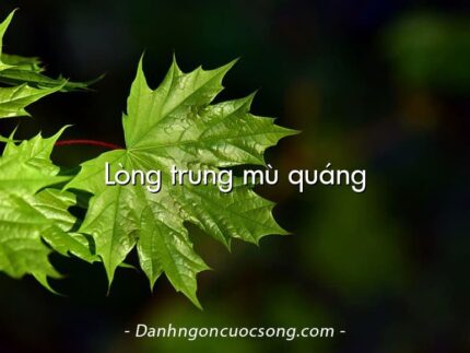 Lòng trung mù quáng