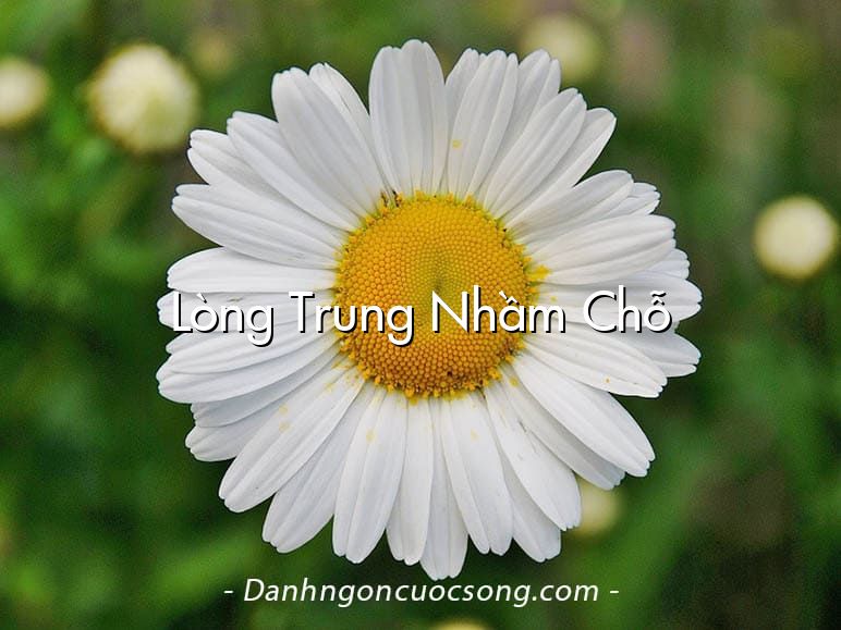 Lòng Trung Nhầm Chỗ