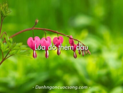Lửa đổ thêm dầu