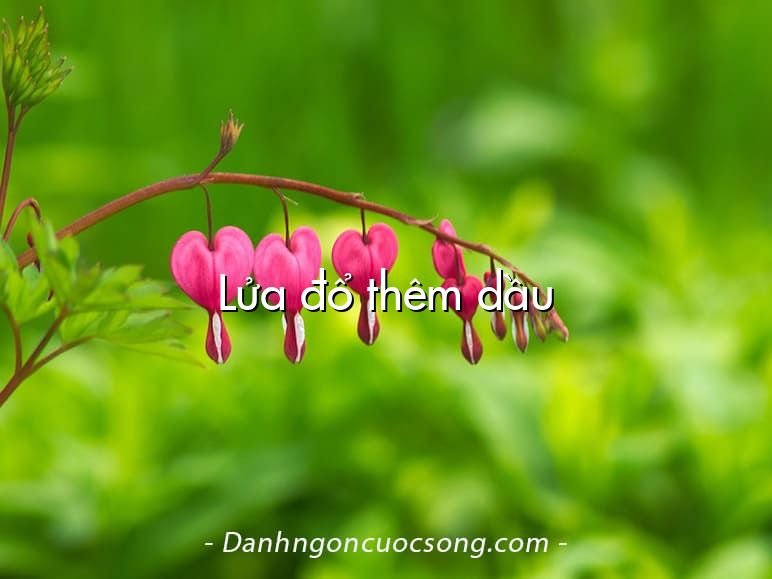 Lửa đổ thêm dầu
