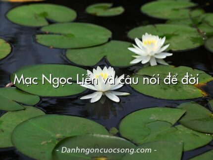 Mạc Ngọc Liễn và câu nói để đời