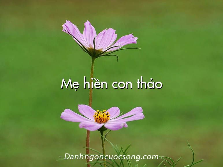 Mẹ hiền con thảo