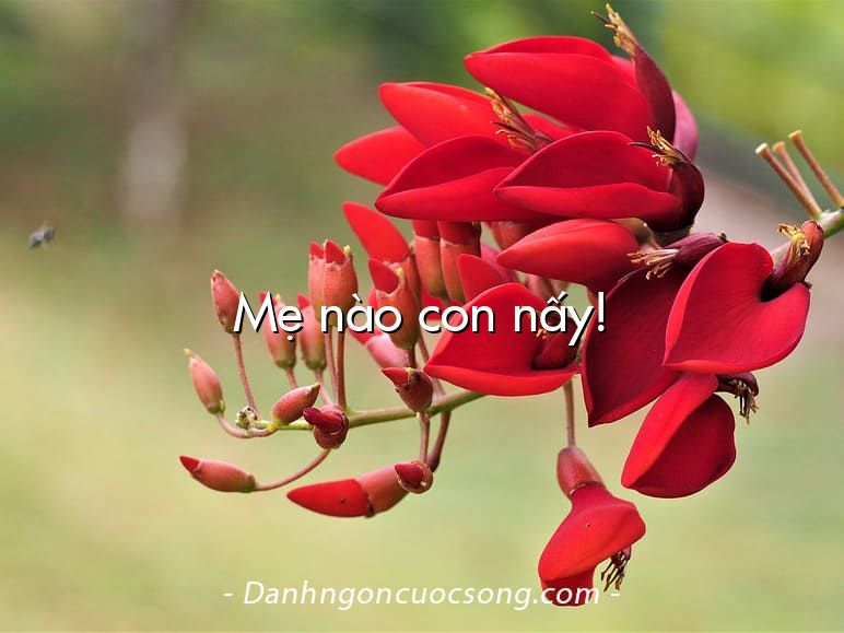 Mẹ nào con nấy!