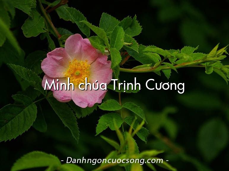 Minh chúa Trịnh Cương