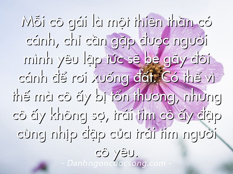 Mỗi cô gái là một thiên thần có cánh, chỉ cần gặp được người mình yêu lập tức sẽ bẻ gãy đôi cánh để rơi xuống đất. Có thể vì thế mà cô ấy bị tổn thương, nhưng cô ấy không sợ, trái tim cô ấy đập cùng nhịp đập của trái tim người cô yêu.