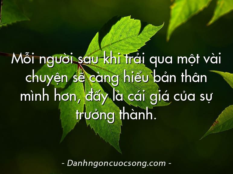Mỗi người sau khi trải qua một vài chuyện sẽ càng hiểu bản thân mình hơn, đấy là cái giá của sự trưởng thành.