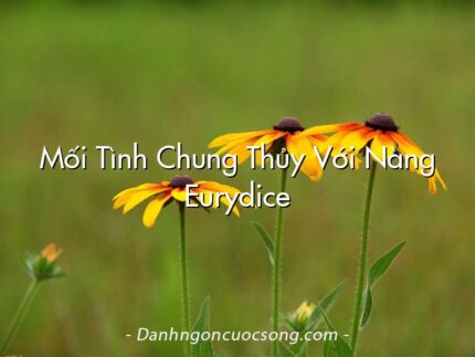 Mối Tình Chung Thủy Với Nàng Eurydice