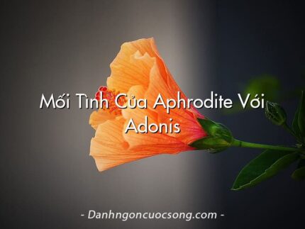 Mối Tình Của Aphrodite Với Adonis