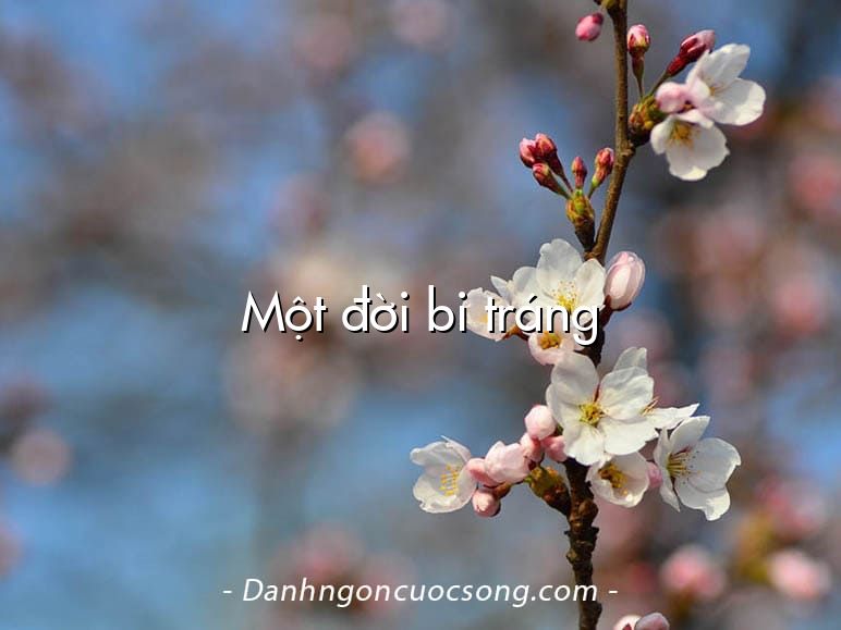 Một đời bi tráng