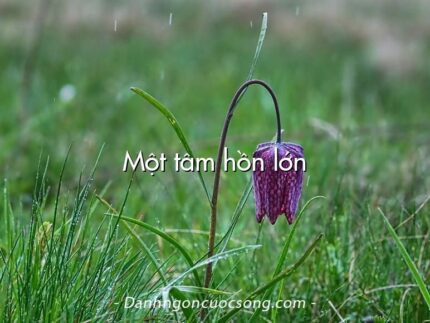 Một tâm hồn lớn