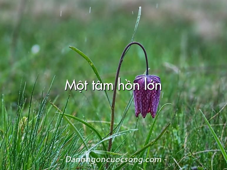 Một tâm hồn lớn