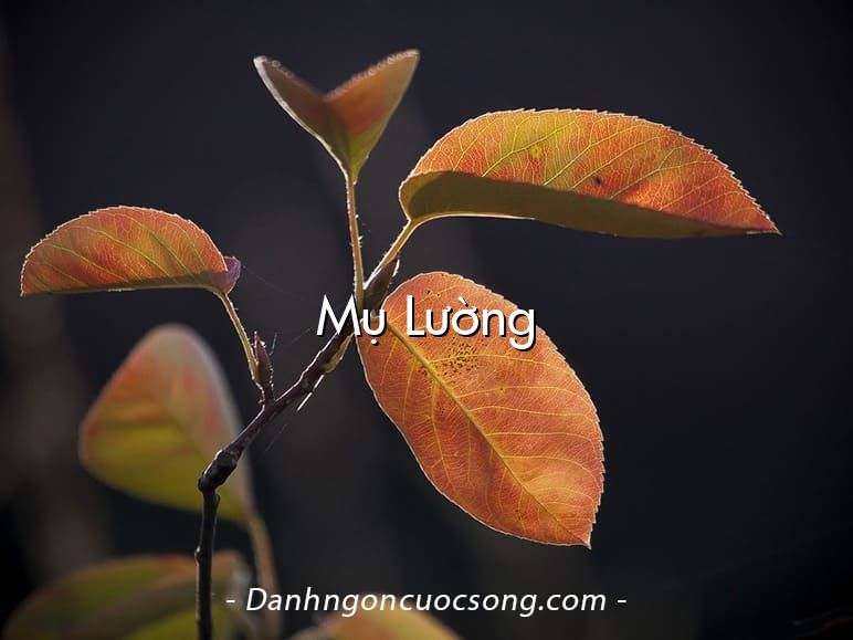 Mụ Lường