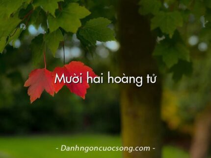 Mười hai hoàng tử