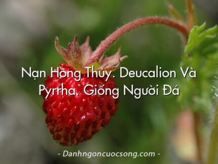 Nạn Hồng Thủy. Deucalion Và Pyrrha. Giống Người Đá