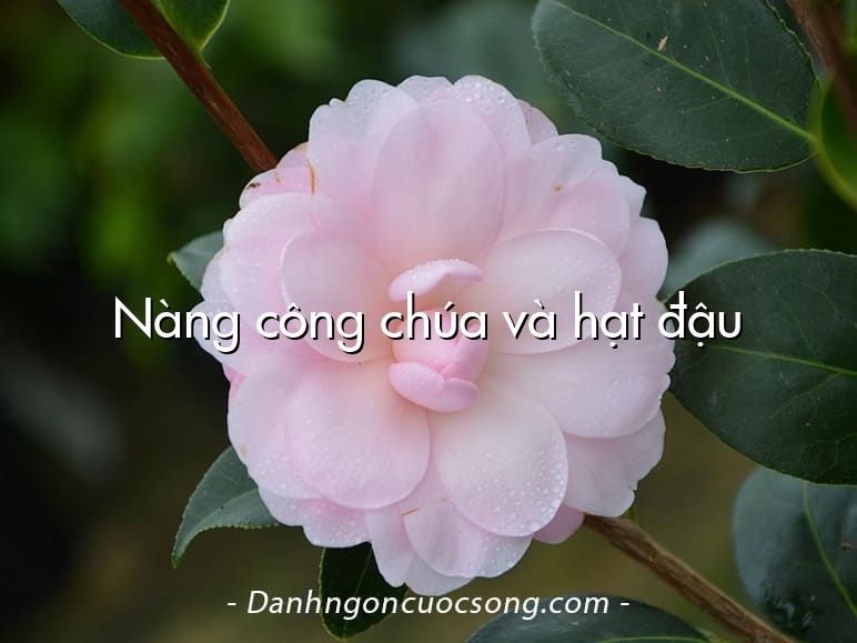 Nàng công chúa và hạt đậu