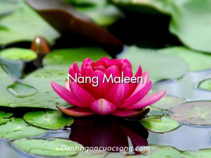 Nàng Maleen