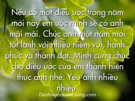 Nếu có một điều ước trong năm mới này em ước mình sẽ có anh mãi mãi. Chúc anh một năm mới tốt lành với nhiều niềm vui, hạnh phúc và thành đạt. Mình cùng chúc cho điều ước của em thành hiện thực anh nhé. Yêu anh nhiều nhiều.