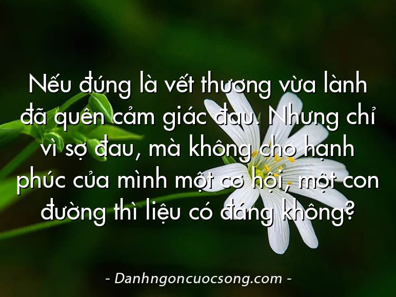 Nếu đúng là vết thương vừa lành đã quên cảm giác đau. Nhưng chỉ vì sợ đau, mà không cho hạnh phúc của mình một cơ hội, một con đường thì liệu có đáng không?