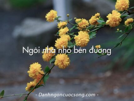 Ngôi nhà nhỏ bên đường