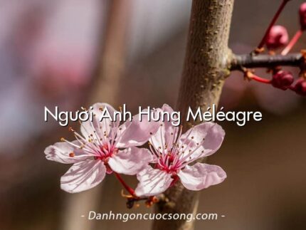 Người Anh Hùng Méléagre