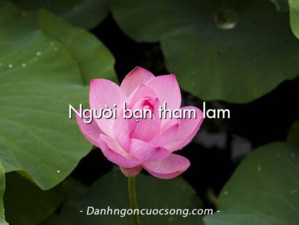 Người bạn tham lam