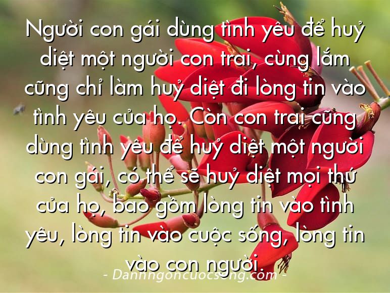 Người con gái dùng tình yêu để huỷ diệt một người con trai, cùng lắm cũng chỉ làm huỷ diệt đi lòng tin vào tình yêu của họ. Còn con trai cũng dùng tình yêu để huỷ diệt một người con gái, có thể sẽ huỷ diệt mọi thứ của họ, bao gồm lòng tin vào tình yêu, lòng tin vào cuộc sống, lòng tin vào con người.