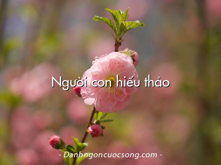 Người con hiếu thảo