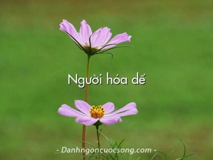 Người hóa dế