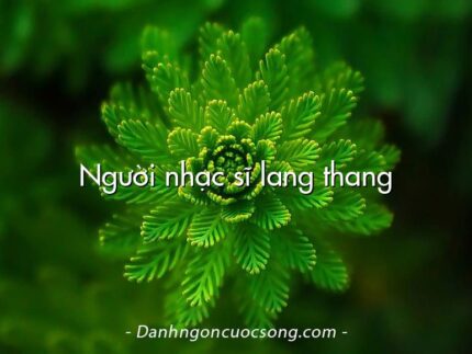 Người nhạc sĩ lang thang