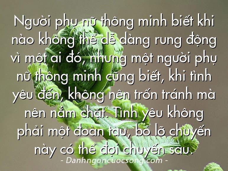 Người phụ nữ thông minh biết khi nào không thể dễ dàng rung động vì một ai đó, nhưng một người phụ nữ thông minh cũng biết, khi tình yêu đến, không nên trốn tránh mà nên nắm chặt. Tình yêu không phải một đoàn tàu, bỏ lỡ chuyến này có thể đợi chuyến sau.