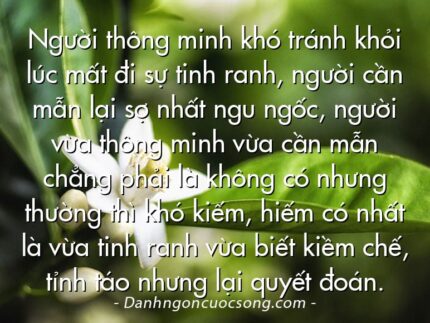 Người thông minh khó tránh khỏi lúc mất đi sự tinh ranh, người cần mẫn lại sợ nhất ngu ngốc, người vừa thông minh vừa cần mẫn chẳng phải là không có nhưng thường thì khó kiếm, hiếm có nhất là vừa tinh ranh vừa biết kiềm chế, tỉnh táo nhưng lại quyết đoán.