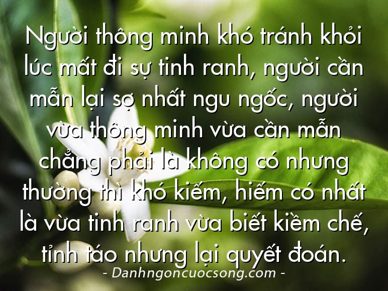 Người thông minh khó tránh khỏi lúc mất đi sự tinh ranh, người cần mẫn lại sợ nhất ngu ngốc, người vừa thông minh vừa cần mẫn chẳng phải là không có nhưng thường thì khó kiếm, hiếm có nhất là vừa tinh ranh vừa biết kiềm chế, tỉnh táo nhưng lại quyết đoán.