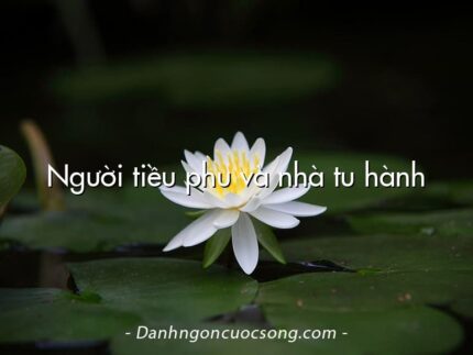 Người tiều phu và nhà tu hành