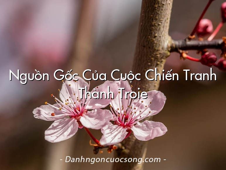 Nguồn Gốc Của Cuộc Chiến Tranh Thành Troie