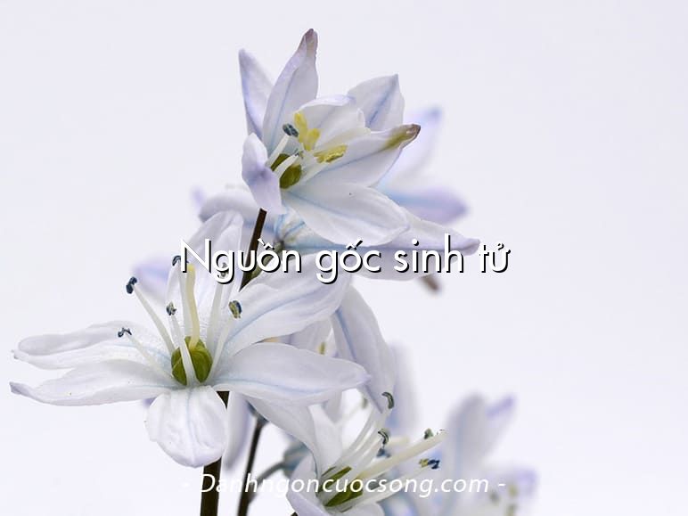 Nguồn gốc sinh tử