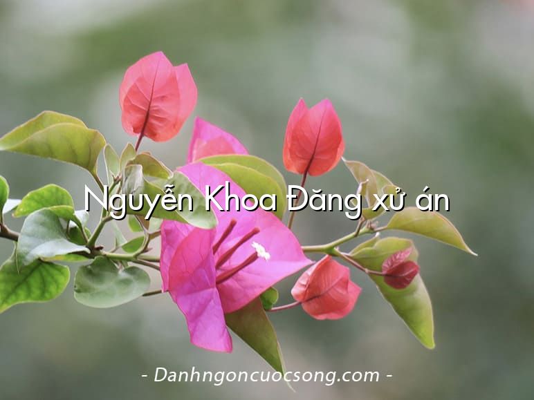 Nguyễn Khoa Đăng xử án