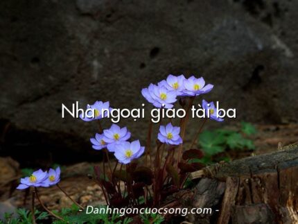 Nhà ngoại giao tài ba