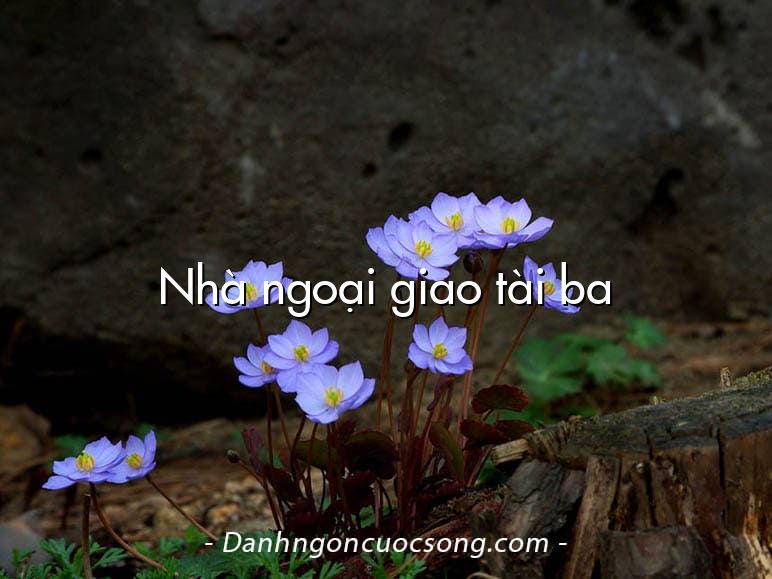 Nhà ngoại giao tài ba