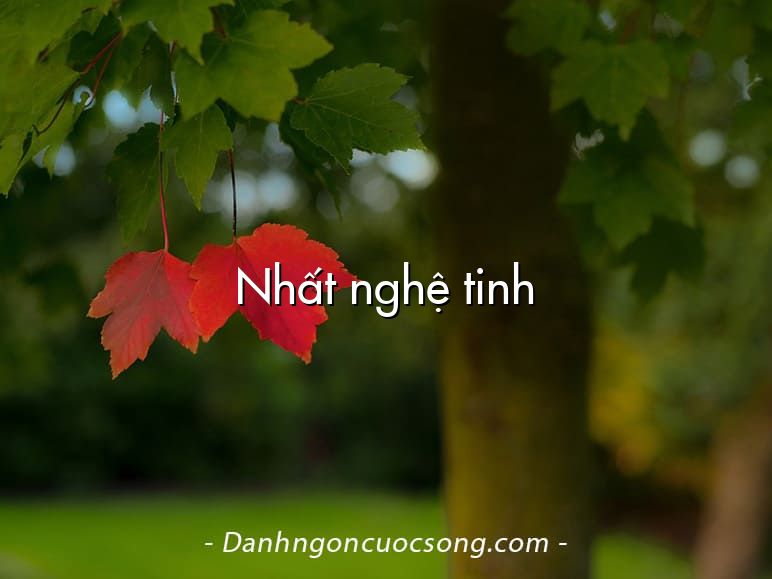 Nhất nghệ tinh