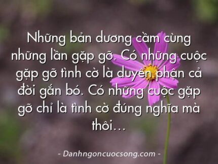 Những bản dương cầm cùng những lần gặp gỡ. Có những cuộc gặp gỡ tình cờ là duyên phận cả đời gắn bó. Có những cuộc gặp gỡ chỉ là tình cờ đúng nghĩa mà thôi…