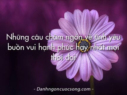 Những câu châm ngôn về tình yêu buồn vui hạnh phúc hay nhất mọi thời đại